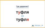 «ТУфля» или «туфлЯ» — как правильно произносить?