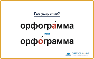 «ОрфогрА́мма» или «орфО́грамма» — куда падает ударение?