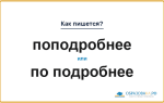Как пишется «поподробнее»