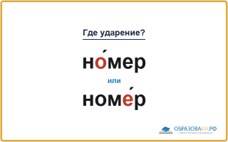 «НО́мер» или «номЕ́р» — куда падает ударение?