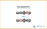«ШофЁр» или «шОфер» — куда падает ударение?