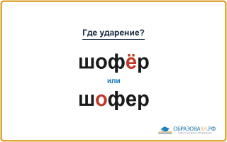 «ШофЁр» или «шОфер» — куда падает ударение?