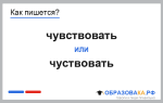 Как пишется «чувствовать» или «чуствовать»