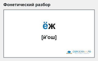 Фонетический разбор слова «ёж»