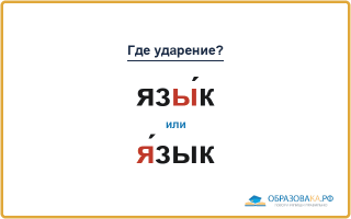 «ЯзЫ́к» или «Я́зык» — куда падает ударение?