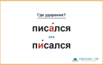 «ПисА́лся» или «пИ́сался» — куда падает ударение?