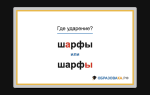 «ШАрфы» или «шарфЫ» — куда падает ударение?