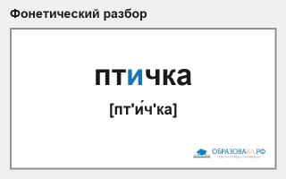 Фонетический разбор слова «птичка»
