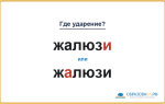 «ЖалюзИ» или «жАлюзи» — где ставить ударение?