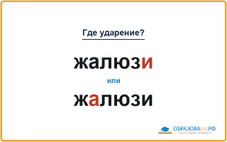 «ЖалюзИ» или «жАлюзи» — где ставить ударение?