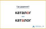 «КаталОг» или «катАлог» — как правильно произносить?