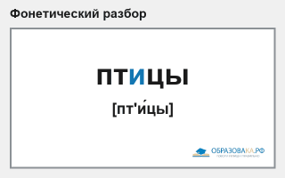Фонетический разбор слова «птицы»