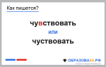 Как пишется «чувствовать» или «чуствовать»