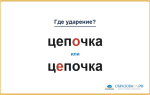 «ЦепОчка» или «цЕпочка» — как правильно ставить ударение?