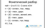 Фонетический разбор слова «поёт»