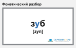 Фонетический разбор слова «зуб»