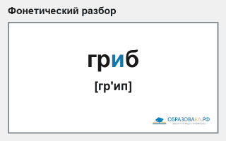 Фонетический разбор слова «гриб»