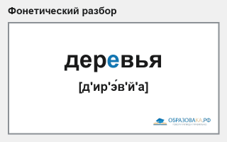 Фонетический разбор слова «деревья»