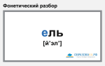 Фонетический разбор слова «ель»