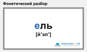 Фонетический разбор слова «ель»