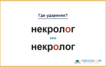 «НекролОг» или «некрОлог» — как правильно?