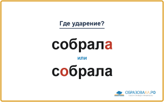 «СобралА» или «сОбрала» — куда падает ударение?