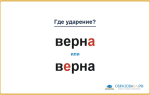 «ВернА» или «вЕрна» — как правильно ставить ударение?