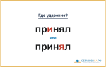 «ПрИнял» или «принЯл» — куда падает ударение?