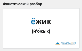 Фонетический разбор слова «ёжик»