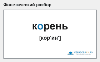 Фонетический разбор слова «корень»