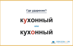 «КУхонный» или «кухОнный» — куда падает ударение?