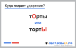 «ТОрты» или «тортЫ» — ударение во множественном числе
