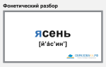Фонетический разбор «ясень»