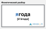 Фонетический разбор слова «ягода»