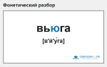 Фонетический разбор слова «вьюга»