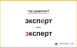 «ЭкспЕрт» или «Эксперт» — как правильно произносить?