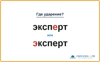 «ЭкспЕрт» или «Эксперт» — как правильно произносить?