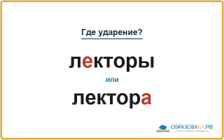 «ЛЕкторы» или «лекторА» — как правильно во множественном числе?